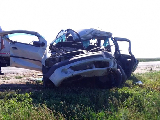 В Астраханской области на трассе погиб автомобилист