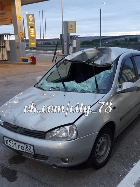 После столкновения с лосем под Ульяновском пассажирка ВАЗа госпитализирована