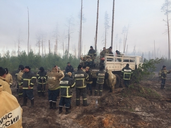 В мордовском заповеднике продолжают бороться с огнем