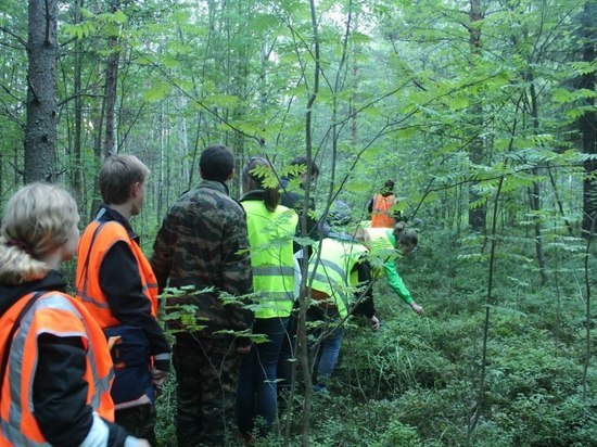Волонтёры ведут поиски пропавшего в Тверской области дачника