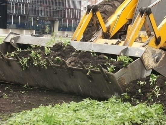 Строители уничтожили конопляное поле в Новокузнецке