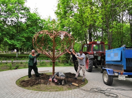 В Новомичуринске появилось дерево молодоженов