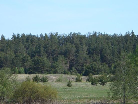 В Тверской области около 90 гектаров пастбищ используются не по назначению