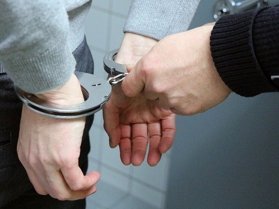 К 3,5 годам приговорили гражданина Республики Узбекистан за изнасилование великолучанки
