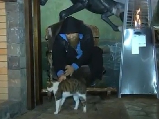 Рамзан Кадыров признался в любви к «усыновленному» им слепому коту