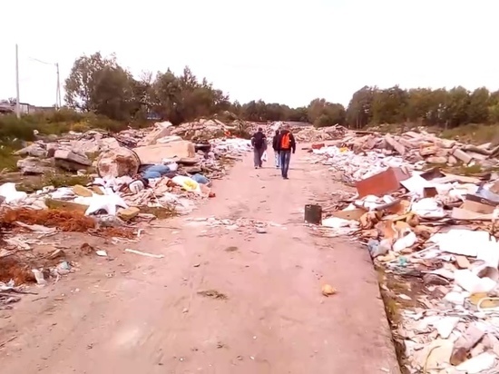  В Калининграде за территорией БСМП устроили свалку мусора