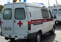 Целый семейный склеп обнаружили спасатели в квартире на севере Москвы