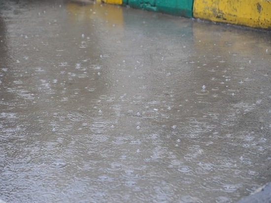 Дожди и грозы: волгоградские синоптики дали прогноз на начало недели