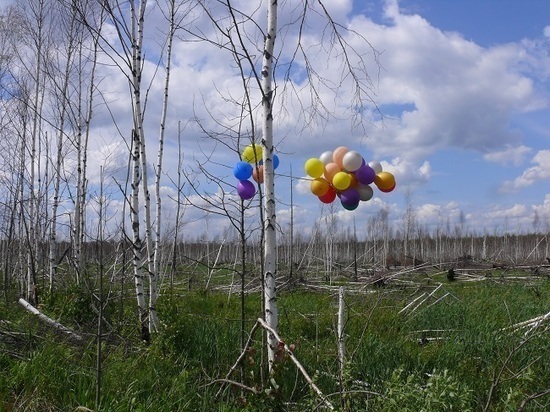 Нижегородские экологи призвали не запускать воздушные шары