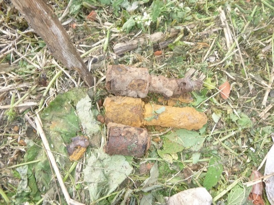 Жители Тверской области на огороде нашли гранаты