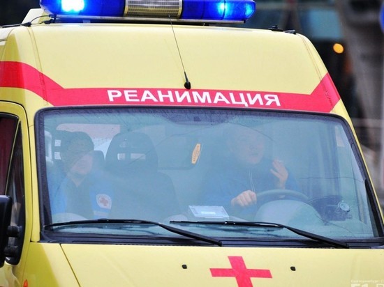 В ДТП в Мордовии погиб 51-летний мужчина