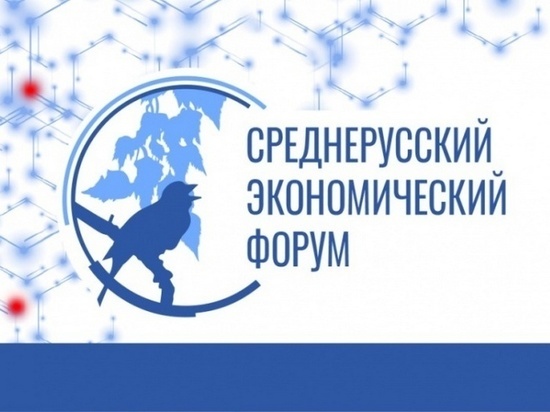 24 мая 2019 г. прошел Оргкомитет VIII Среднерусского экономического форума.