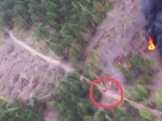 В Черемховском районе лётчик снял на видео поджигателей леса