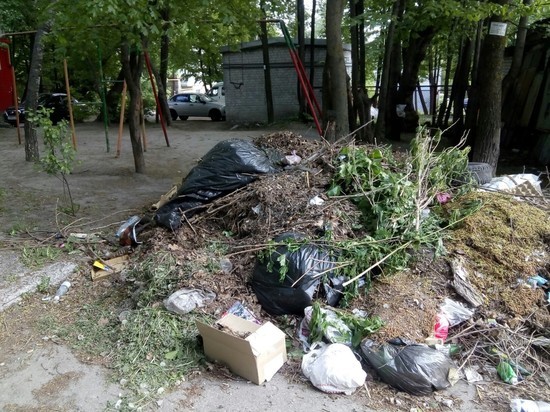 До 1 июня в Ульяновской области уберут оставшийся от субботников мусор