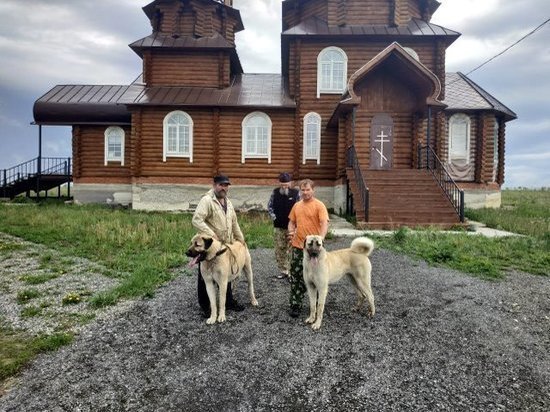 Храм в Мордовии будут охранять собаки древнейшей породы