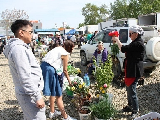 В Южном прошла первая сельскохозяйственная ярмарка