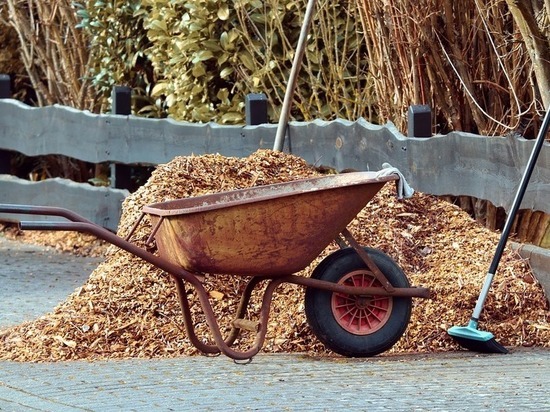 В Тульской области мужчина соблазнился на садовую технику