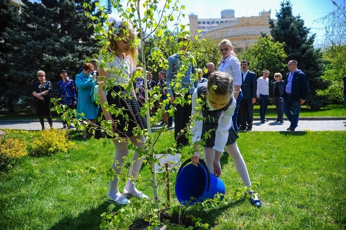 Каникулы школьников волгоград. Каникулы в Волгоградской области в школах. Школьники работают летом.