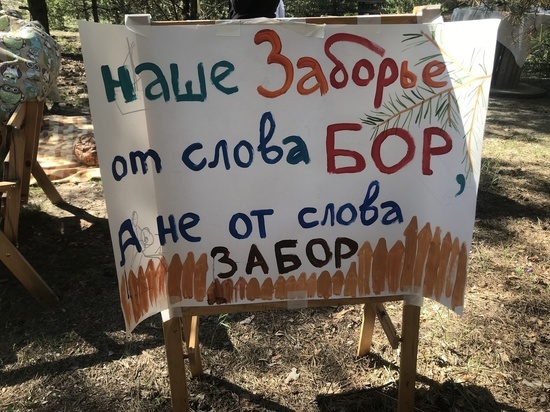 Рязанское УФАС отказало жителям Заборья, протестующим против продажи леса