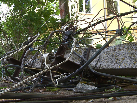 В Смоленске тополь задел провода и вместе со столбом рухнул на дом