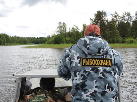 Жителя Хабаровского края наказали за оскорбление инспектора рыбоохраны