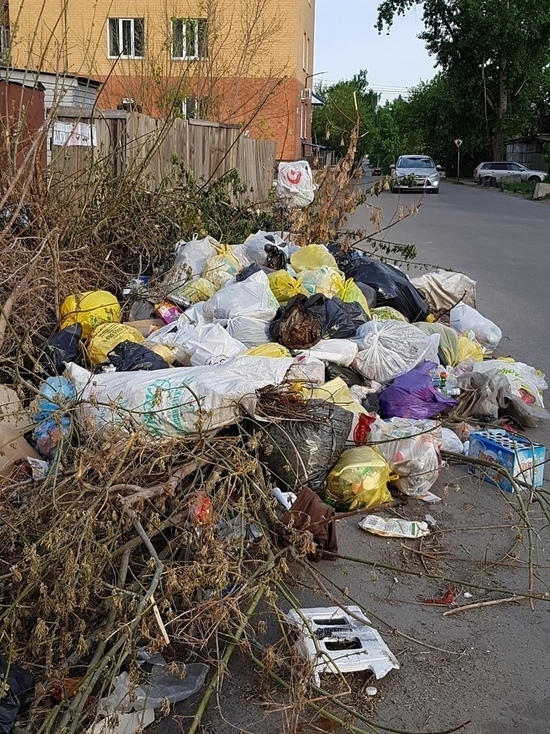 Барнаул утопает в мусоре: горожане нашли еще одну помойку