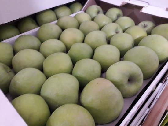 Почти 300 кг запрещенных к ввозу в Россию яблок уничтожили в Ижевске