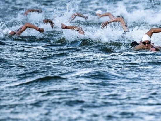 Ярославцы победили на соревнованиях по плаванию на открытой воде