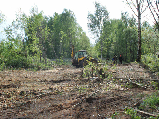 Чтобы построить детсад в Нововятске, вырубили гектар деревьев