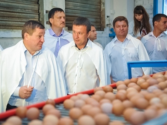 С господдержкой растет производство на птицефабрике в Среднеахтубинском районе
