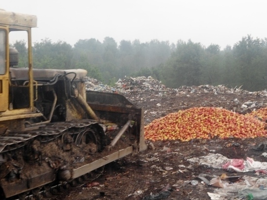В Псковской области уничтожили партию томатов из Польши