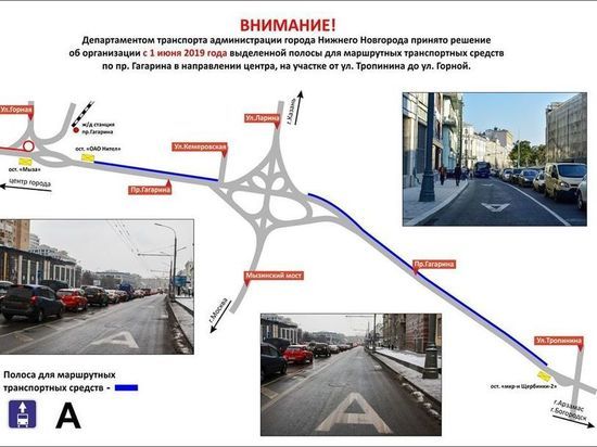 Выделенная полоса появится на проспекте Гагарина 1 июня