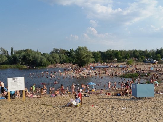Только четыре воронежских пляжа признали пригодными для купания