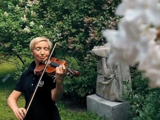 В Ярославском Художественном музее появится «Музыка сада»