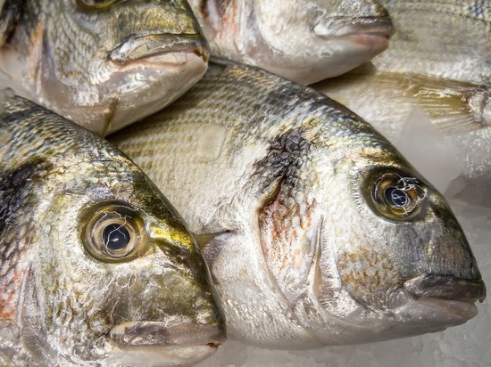 В Удмуртии изъята большая партия просроченной рыбы