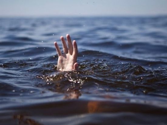 Девочка утонула, поскользнувшись и упав в водохранилище в Тверской области