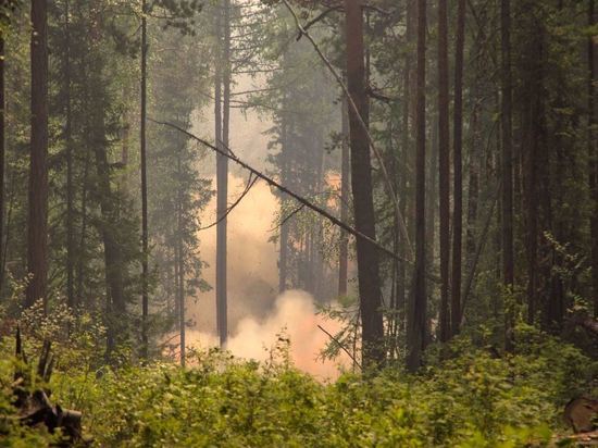 Лесной пожар в Забайкалье остановили с помощью взрывов