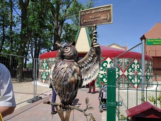 «Коллекция из Феодосии и сова Гарри Поттера»: в Зеленоградске открылся музей филинов и сов