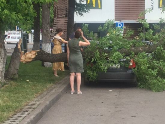 В Уфе из-за шквалистого ветра дерево упало на автомобиль