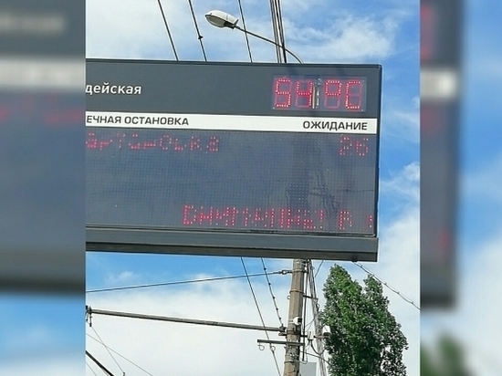 В Волгограде рекордно высокая температура воздуха: +54°C