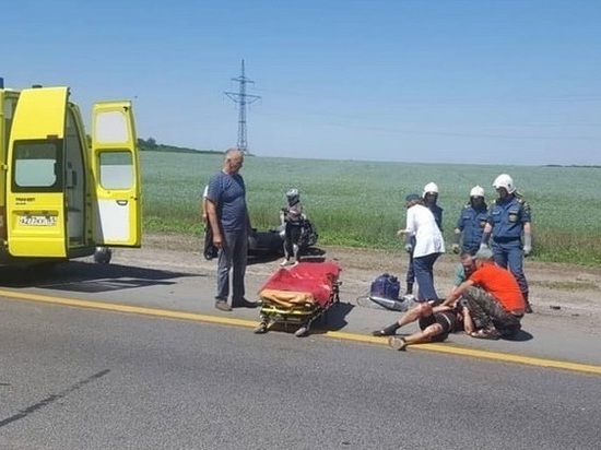 На трассе под Ростовом мотоциклист сбил велосипедиста