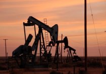 Чрезвычайная ситуация, вызванная повышенным содержанием хлорорганики в российской нефти, не оказала негативного влияния на ее стоимость в Европе