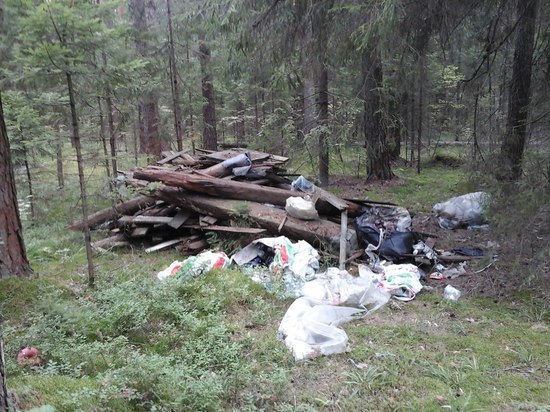 Более 30 нелегальных свалок обнаружили жители Ноябрьска