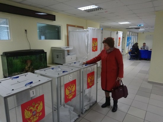 ЯНАО потратит на выборы 90 млн рублей