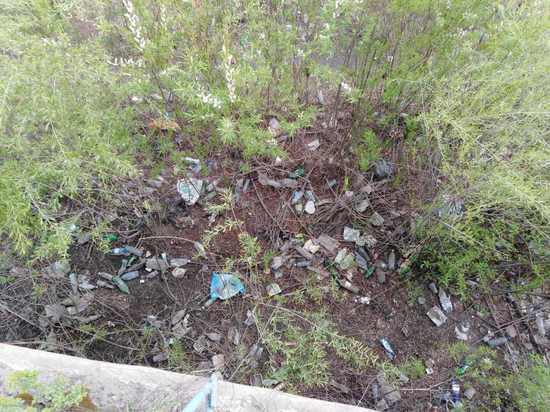 Шилкинцев позвали убрать мусор на берегах рек