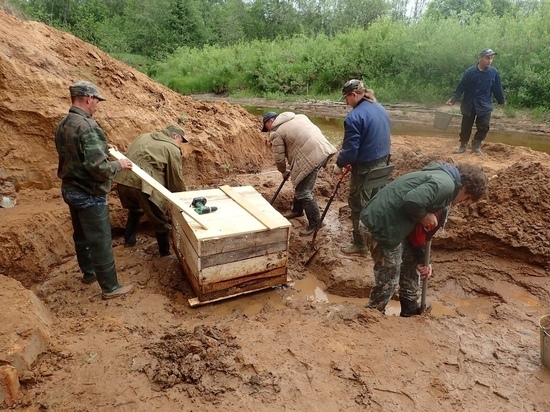 В Тверской области учёные определили возраст и размер найденного мамонта