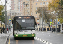 В ТиНАО до конца года запустят девять новых автобусных маршрутов