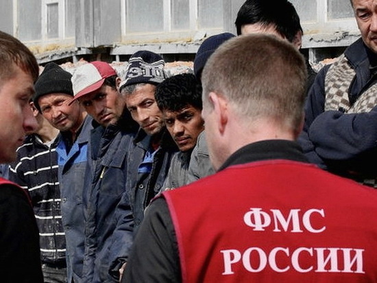 В Воронежской области отметили снижение числа преступлений, совершенных мигрантами