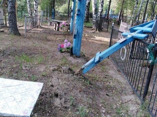 Житель Мордовии устроил погром на сельском кладбище