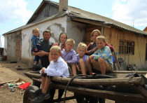 Башкирские власти выделили льготным категориям граждан 57598 земельных участков для строительства домов